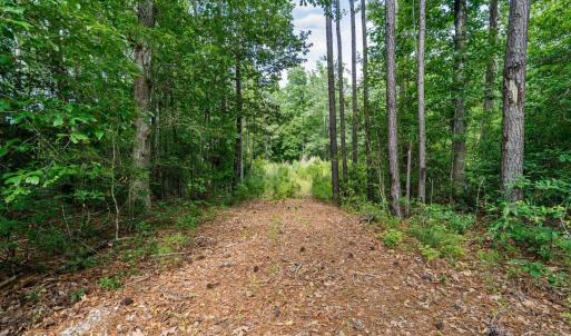 Photo #18 of Lot 19 Oyster Point, Hampstead, NC 0.8 acres