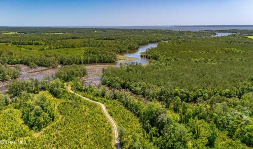 Photo #10 of Tract1 & 2 Kershaw Road, Oriental, NC 35.8 acres