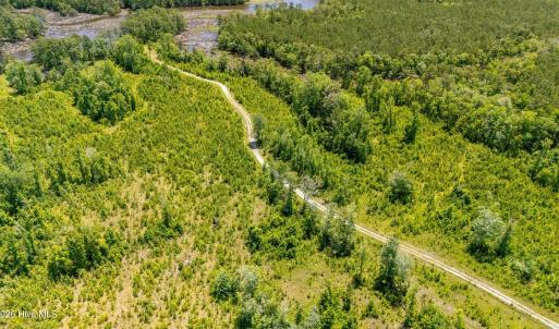 Photo #12 of Tract1 & 2 Kershaw Road, Oriental, NC 35.8 acres