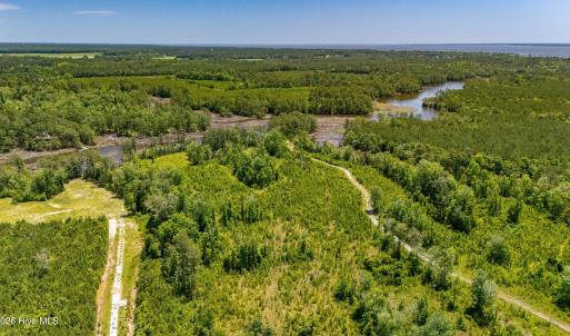Photo #9 of Tract1 & 2 Kershaw Road, Oriental, NC 35.8 acres