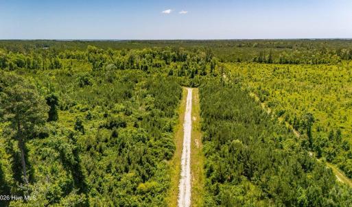 Photo #4 of Tract1 & 2 Kershaw Road, Oriental, NC 35.8 acres