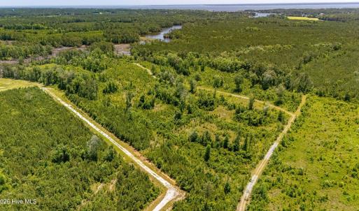 Photo #8 of Tract1 & 2 Kershaw Road, Oriental, NC 35.8 acres