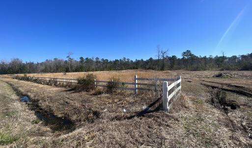 Photo #3 of 897 Chair Factory, Nakina, NC 39.0 acres