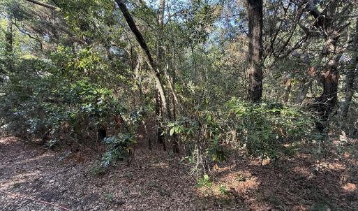 Photo #1 of 53 Fort Holmes, Bald Head Island, NC 0.2 acres