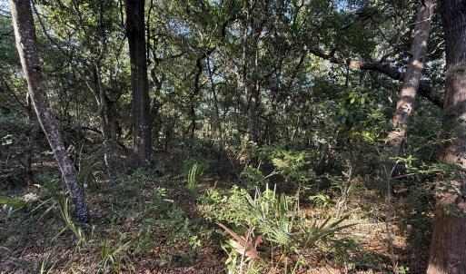 Photo #3 of 207 Stede Bonnet Wynd, Bald Head Island, NC 0.3 acres