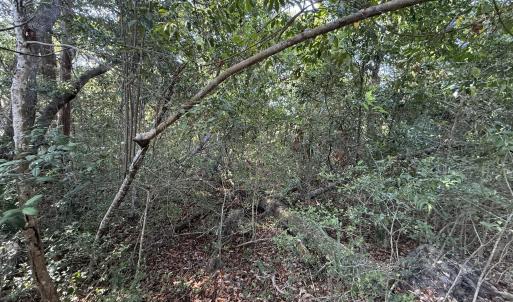 Photo #2 of 207 Stede Bonnet Wynd, Bald Head Island, NC 0.3 acres