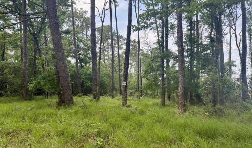 Photo #9 of 558 Sandy Point, Beaufort, NC 3.4 acres