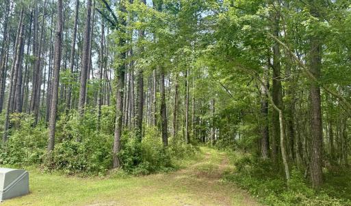 Photo #2 of 558 Sandy Point, Beaufort, NC 3.4 acres