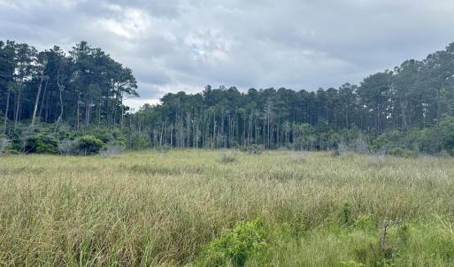 Photo #10 of 558 Sandy Point, Beaufort, NC 3.4 acres
