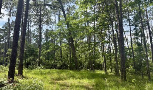 Photo #7 of 558 Sandy Point, Beaufort, NC 3.4 acres