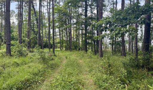 Photo #5 of 558 Sandy Point, Beaufort, NC 3.4 acres
