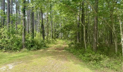 Photo #3 of 558 Sandy Point, Beaufort, NC 3.4 acres