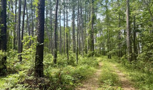 Pathway from road