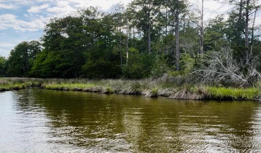 Photo #9 of 64 Shoreline, Oriental, NC 3.3 acres