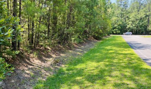 Photo #8 of 64 Shoreline, Oriental, NC 3.3 acres
