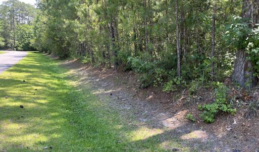 Photo #7 of 64 Shoreline, Oriental, NC 3.3 acres