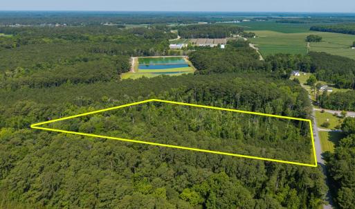 Photo #7 of 1 White Farm, Oriental, NC 4.0 acres