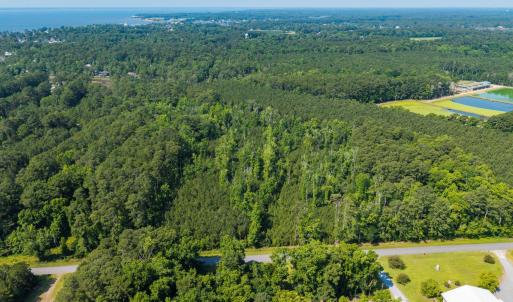Photo #6 of 1 White Farm, Oriental, NC 4.0 acres