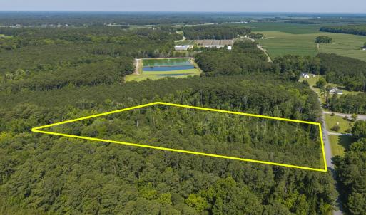 Photo #9 of 1 White Farm, Oriental, NC 4.0 acres