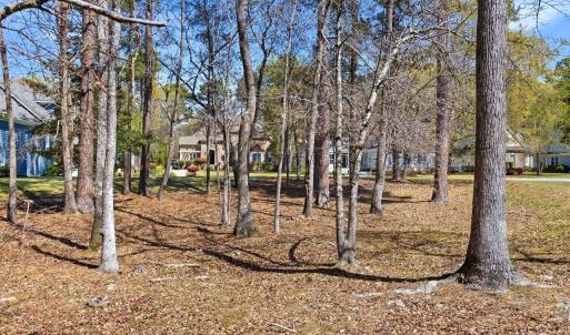 Photo #3 of 75 Plantation Passage, Bolivia, NC 0.3 acres