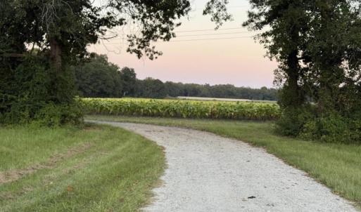 Photo #1 of 1337 Off Sr 1337 On, Pollocksville, NC 1.1 acres