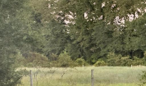 Photo #3 of 1337 Off Sr 1337 On, Pollocksville, NC 1.1 acres