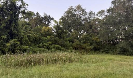 Photo #4 of 1337 Off Sr 1337 On, Pollocksville, NC 1.1 acres