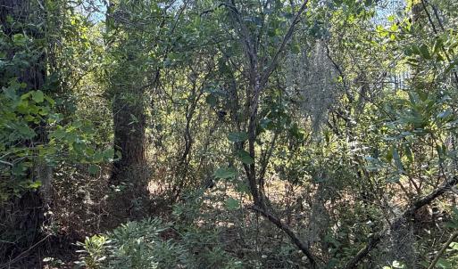 Photo #24 of 87 Bailey Pointe, Belhaven, NC 1.4 acres