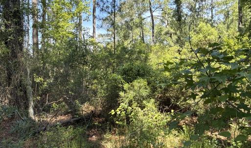 Photo #22 of 87 Bailey Pointe, Belhaven, NC 1.4 acres