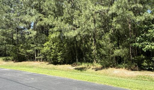Photo #4 of 87 Bailey Pointe, Belhaven, NC 1.4 acres