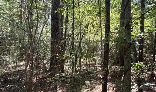 Photo #21 of 87 Bailey Pointe, Belhaven, NC 1.4 acres