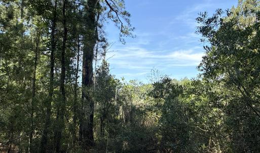Photo #23 of 87 Bailey Pointe, Belhaven, NC 1.4 acres