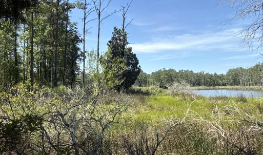 Photo #11 of 87 Bailey Pointe, Belhaven, NC 1.4 acres