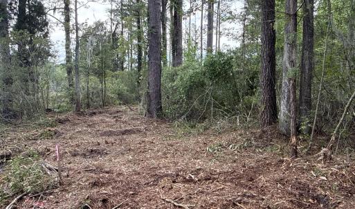 Photo #12 of 87 Bailey Pointe, Belhaven, NC 1.4 acres