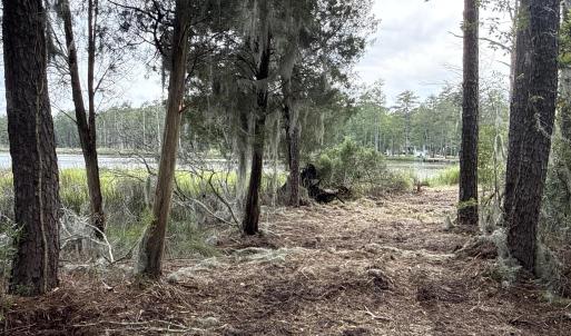Photo #9 of 87 Bailey Pointe, Belhaven, NC 1.4 acres
