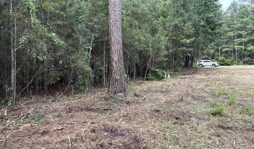 Photo #14 of 87 Bailey Pointe, Belhaven, NC 1.4 acres