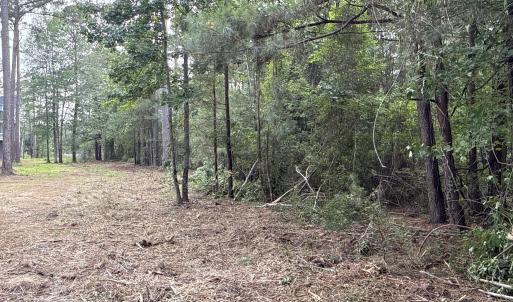 Photo #13 of 87 Bailey Pointe, Belhaven, NC 1.4 acres