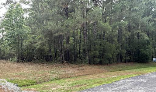 Photo #15 of 87 Bailey Pointe, Belhaven, NC 1.4 acres