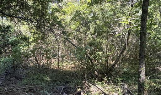 Photo #17 of 87 Bailey Pointe, Belhaven, NC 1.4 acres