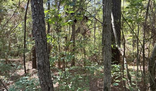 Photo #20 of 87 Bailey Pointe, Belhaven, NC 1.4 acres