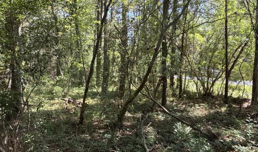 Photo #16 of 87 Bailey Pointe, Belhaven, NC 1.4 acres