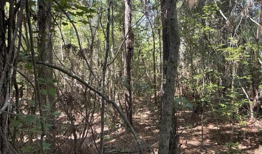 Photo #19 of 87 Bailey Pointe, Belhaven, NC 1.4 acres
