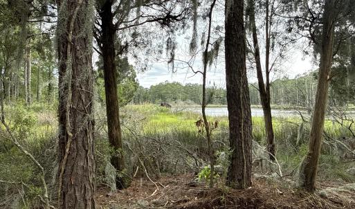Photo #8 of 87 Bailey Pointe, Belhaven, NC 1.4 acres