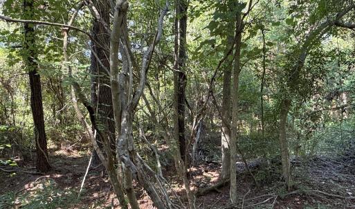Photo #18 of 87 Bailey Pointe, Belhaven, NC 1.4 acres