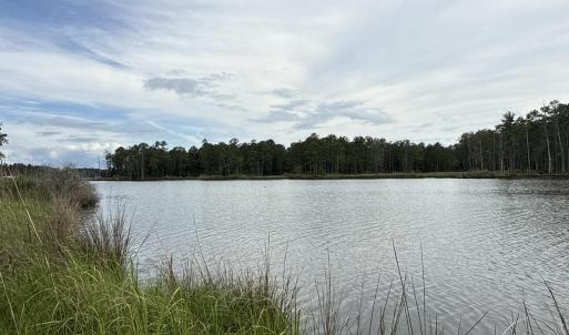 Photo #5 of 87 Bailey Pointe, Belhaven, NC 1.4 acres