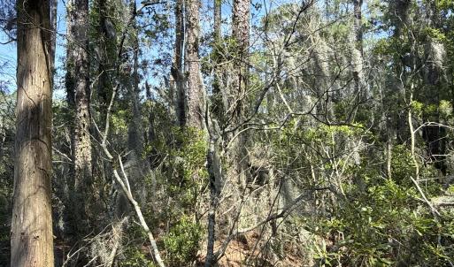 Photo #25 of 87 Bailey Pointe, Belhaven, NC 1.4 acres