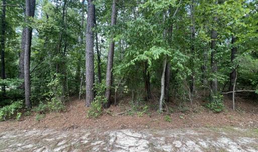 Photo #5 of 307 Thimbleberry, Vass, NC 0.7 acres