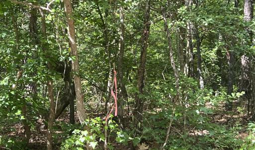 Photo #4 of 307 Thimbleberry, Vass, NC 0.7 acres