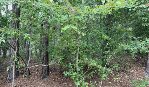 Photo #6 of 307 Thimbleberry, Vass, NC 0.7 acres