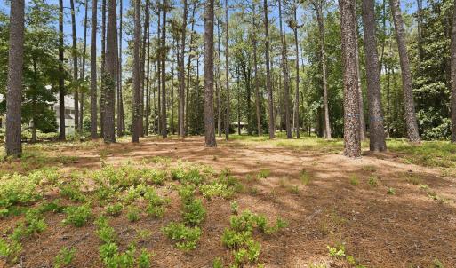 Photo #13 of 55 Apawamis, Pinehurst, NC 1.4 acres